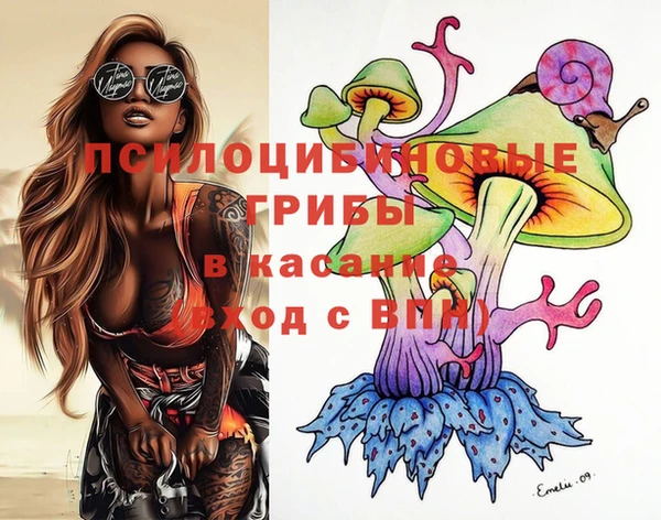 индика Баксан