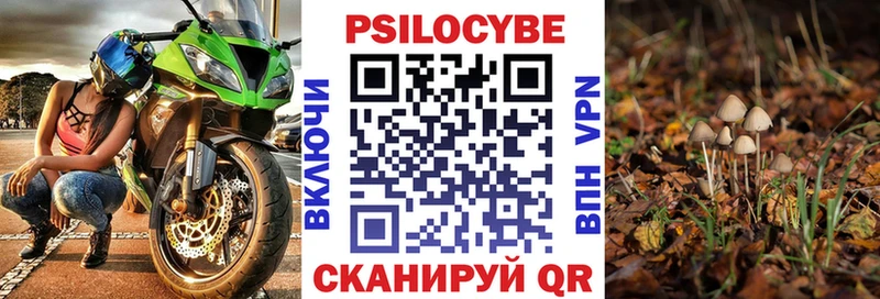 Галлюциногенные грибы Magic Shrooms  Белоярский 